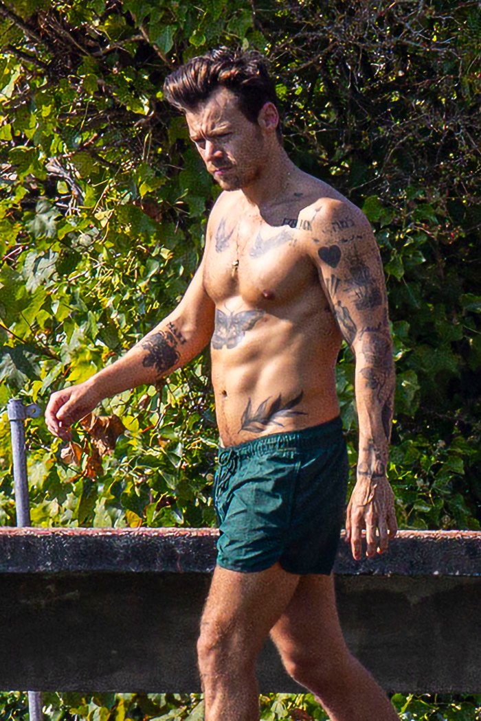 Harry Styles Flashes His Ridiculously Toned Abs While Swimming in British Duck Pond: Photos