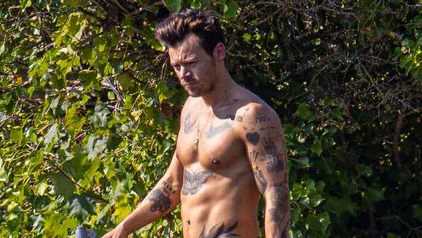 Harry Styles Flashes His Ridiculously Toned Abs While Swimming in British Duck Pond: Photos