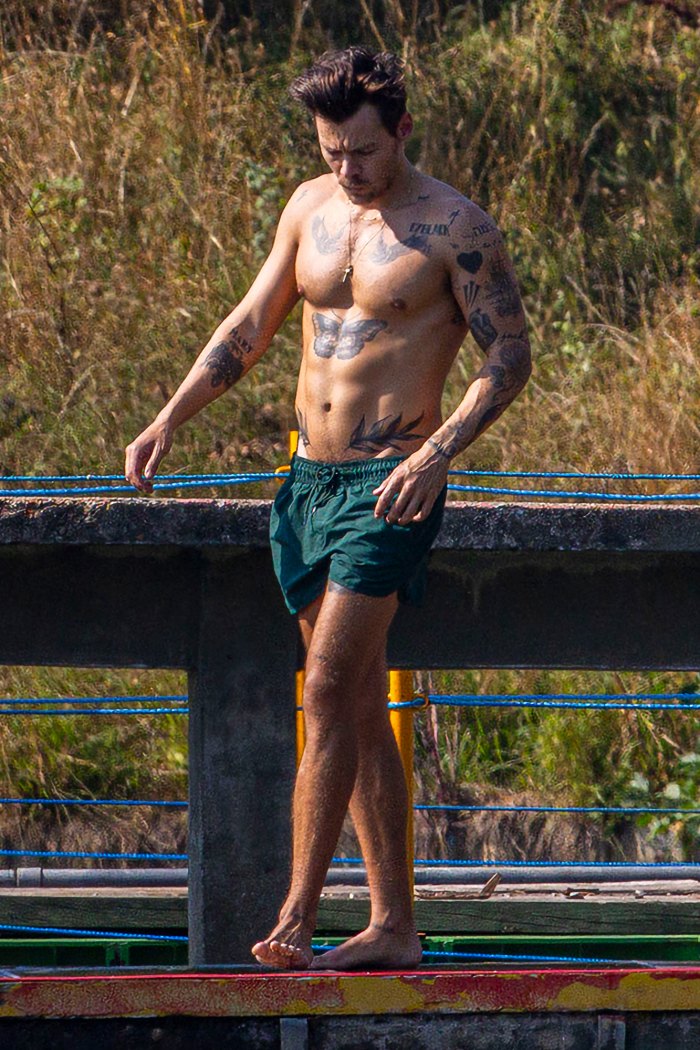 Harry Styles Flashes His Ridiculously Toned Abs While Swimming in British Duck Pond: Photos
