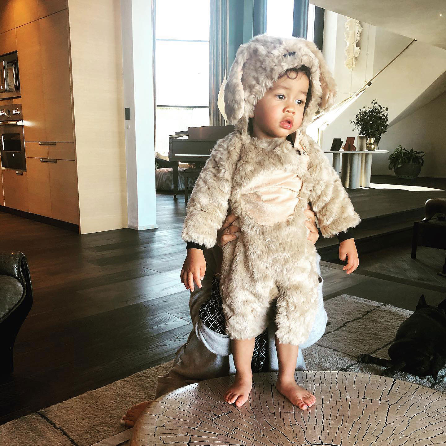 Chrissy Teigen and John Legend's Family Halloween Journey: Unveiling Their Children's Memorable Costumes Throughout the Years