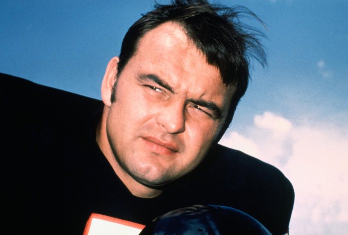 Dick Butkus dead at 80 254