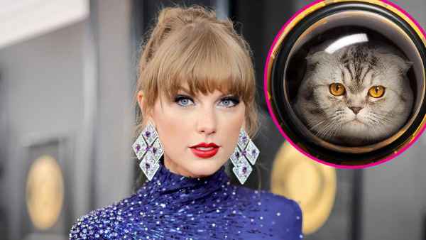 Fans Think Taylor Swift Is the Author Behind the Book That Inspired Henry Cavill s Argylle Movie 393