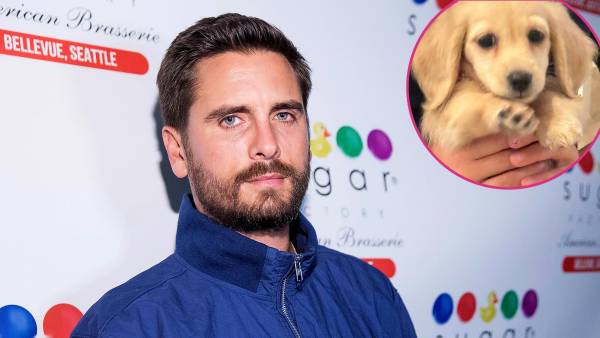 Scott Disick Surprises Daughter Penelope With Golden Retriever Puppy