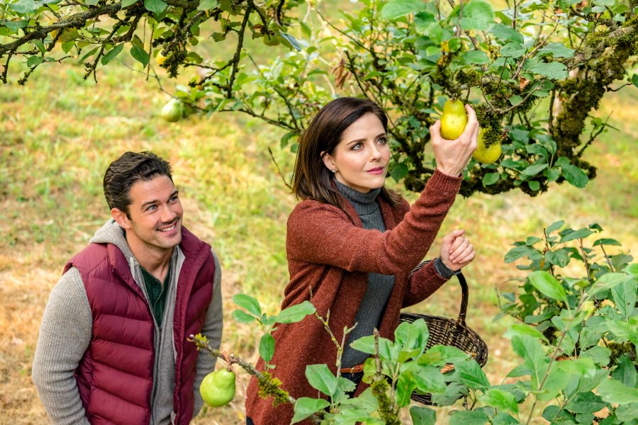 Things You ll Find in (Almost) Every Fall Hallmark Channel Movie — Luckily Pumpkins 382