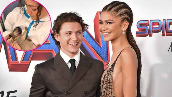 Tom Holland and Zendaya Adorably Play With Puppies at an Animal Shelter in London