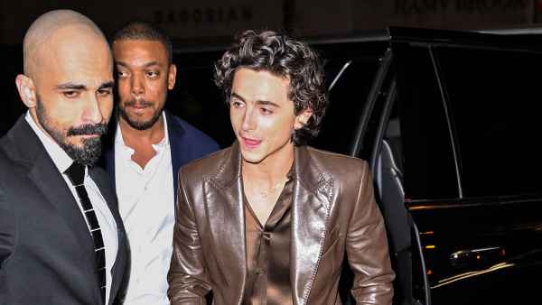 Timothee Chalamet Brings Rock 'n' Roll Vibes to Bleu de Chanel Dinner With Brown Leather Suit