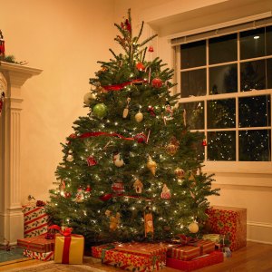 Christmas tree in living room