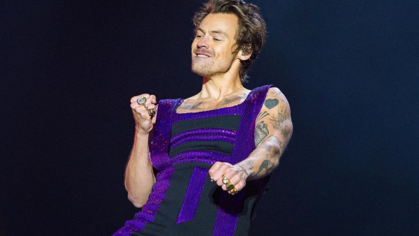 Harry Styles Fans Are in Mourning After Singer Shaves Off His Beloved Curls 495