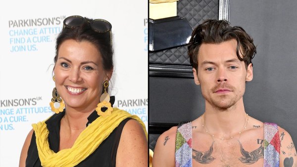 Harry Styles Mom Anne Addresses Negativity Surrounding His New Haircut 263
