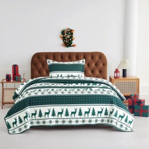 The Holiday Aisle Jaleisa Microfiber Quilt Set