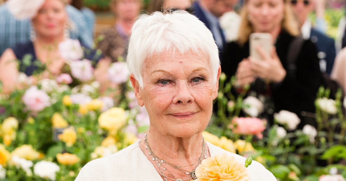 Judi Dench Through the Years: From Shakespeare to Film, Family Life and More Judi Dench Through the Years: From Shakespeare to Film, Family Life and More
