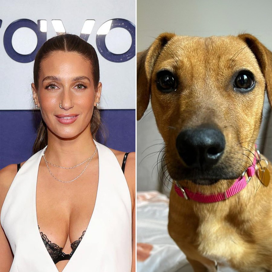 Meet the NY Animal Rescue That Named Their Dogs After Bravo Stars From Pump Rules to Below Deck Amanda Batula