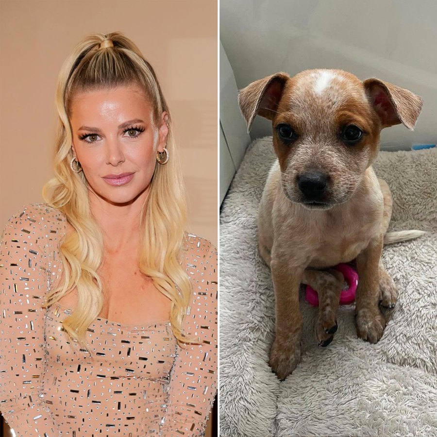 Meet the NY Animal Rescue That Named Their Dogs After Bravo Stars From Pump Rules to Below Deck Ariana Madix