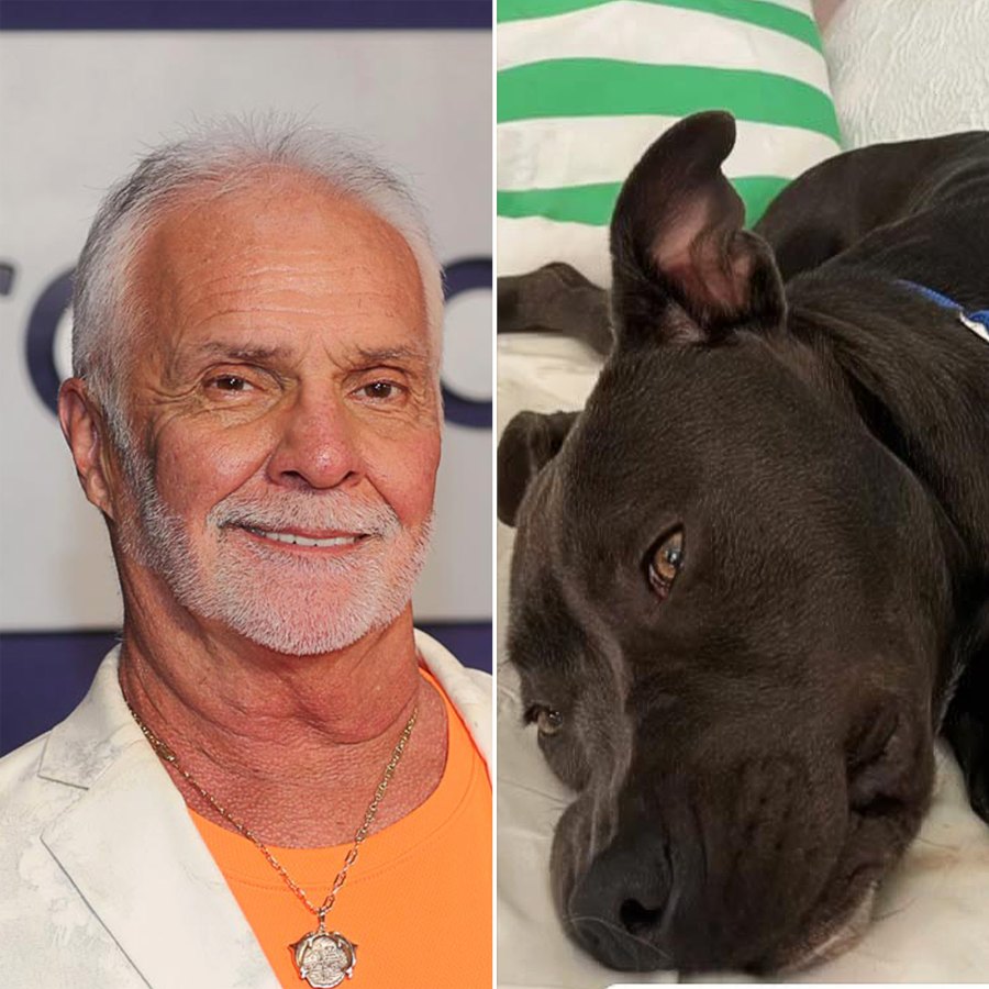 Meet the NY Animal Rescue That Named Their Dogs After Bravo Stars From Pump Rules to Below Deck Captain Lee