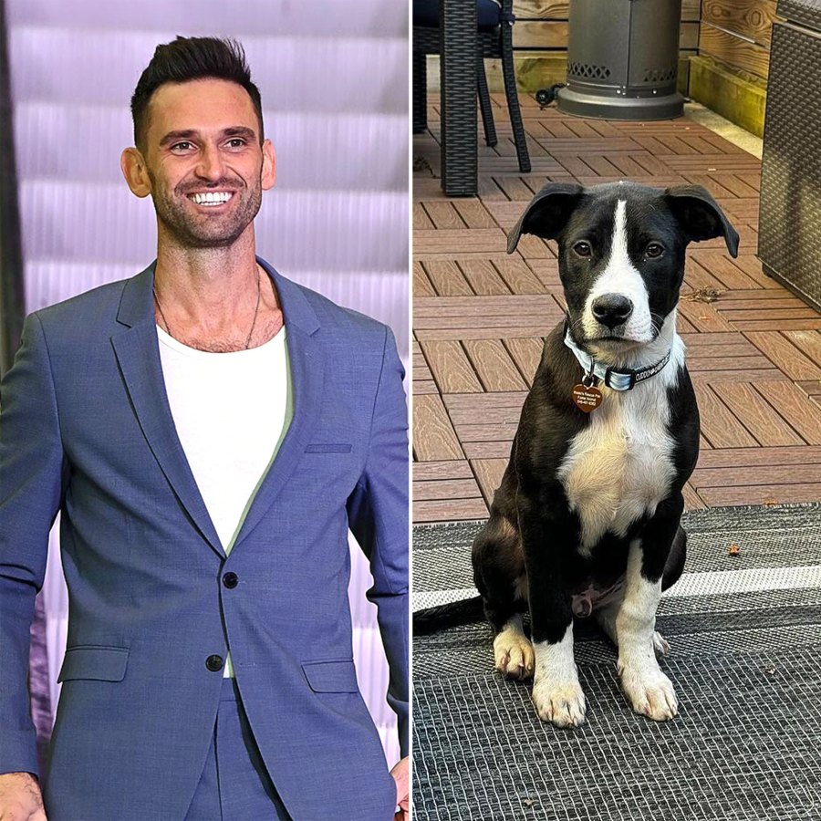 Meet the NY Animal Rescue That Named Their Dogs After Bravo Stars From Pump Rules to Below Deck Carl Radke