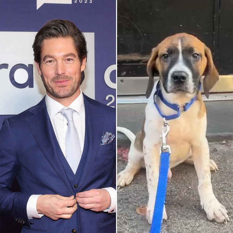Meet the NY Animal Rescue That Named Their Dogs After Bravo Stars From Pump Rules to Below Deck Craig Conover
