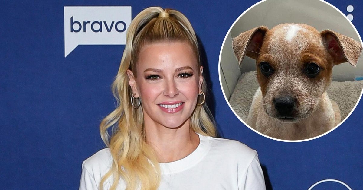NYC Animal Rescue Names Dogs After Bravo Stars: Meet Ariana Madix and More NYC Animal Rescue Names Dogs After Bravo Stars: Meet Ariana Madix and More