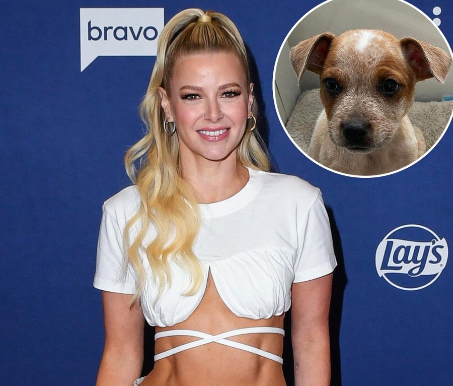 Meet the NY Animal Rescue That Named Their Dogs After Bravo Stars From Pump Rules to Below Deck GettyImages 1775693548