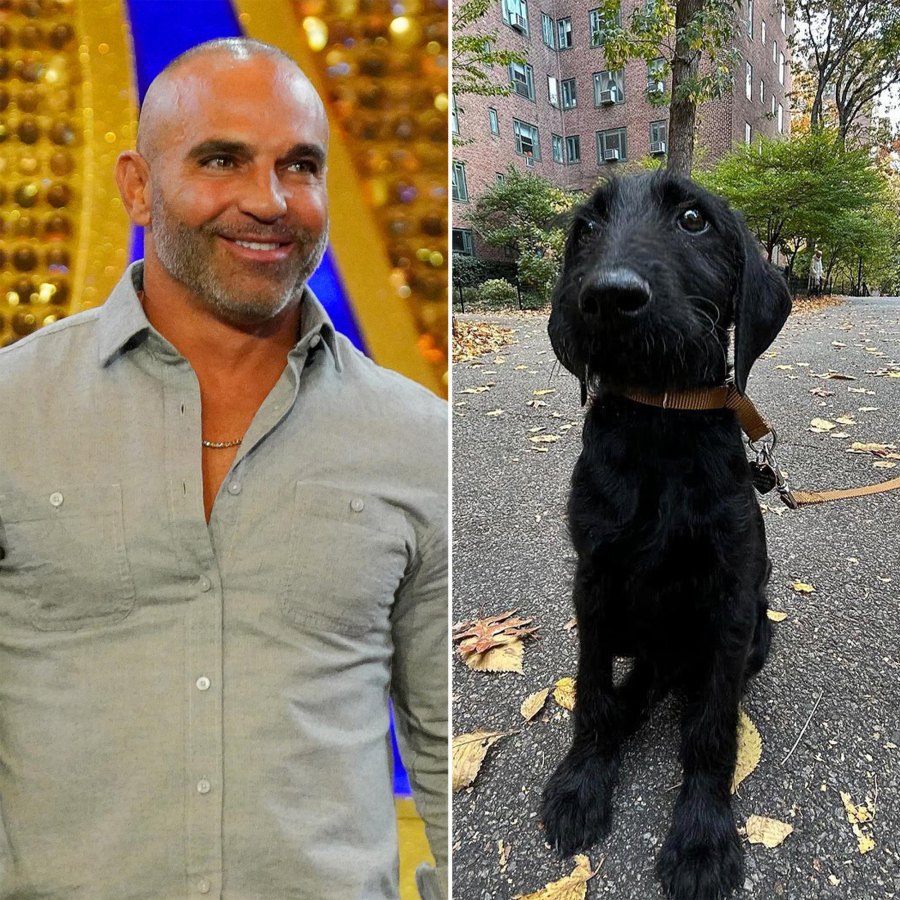 Meet the NY Animal Rescue That Named Their Dogs After Bravo Stars From Pump Rules to Below Deck Joe Gorga