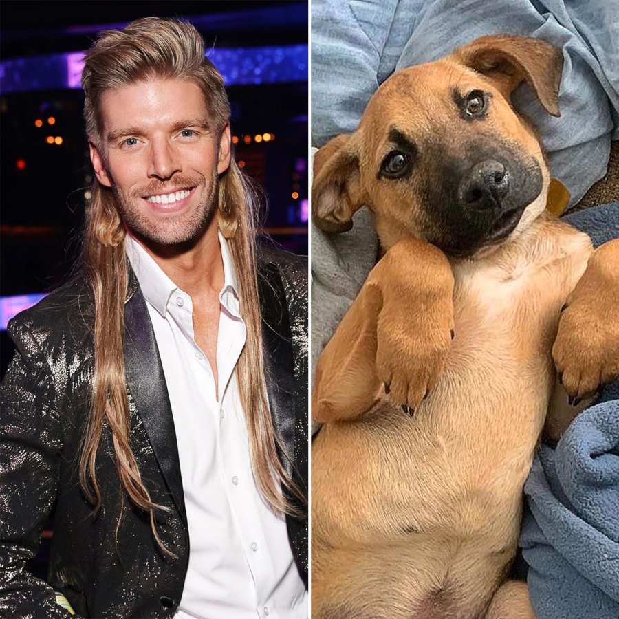 Meet the NY Animal Rescue That Named Their Dogs After Bravo Stars From Pump Rules to Below Deck Kyle Cooke