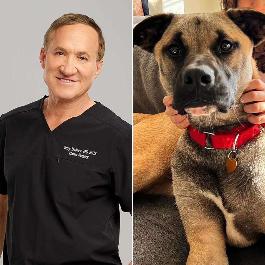 Meet the NY Animal Rescue That Named Their Dogs After Bravo Stars From Pump Rules to Below Deck Terry Dubrow