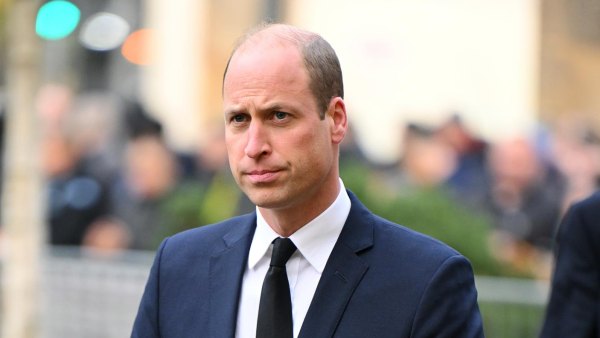 Prince William Feels Exasperated by Cruel Narratives in New Book Endgame 569