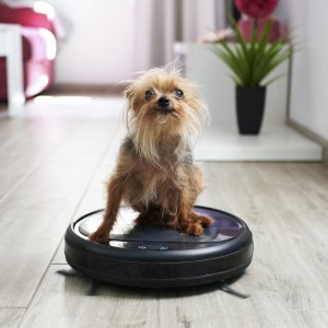 Amazon-Vacuum