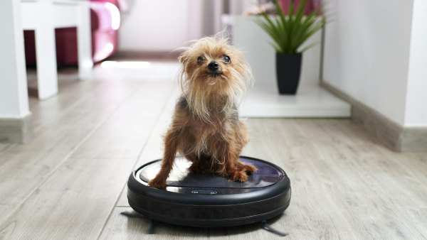 Amazon-Vacuum