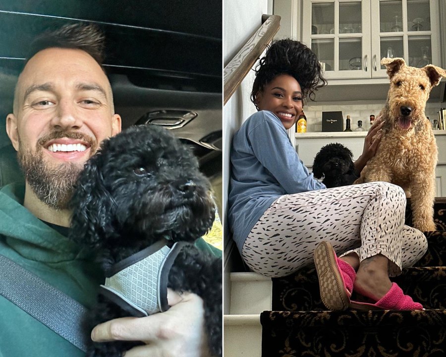 Love Is Blind's Cameron and Lauren, More Celeb Couples Who've Adopted Pets