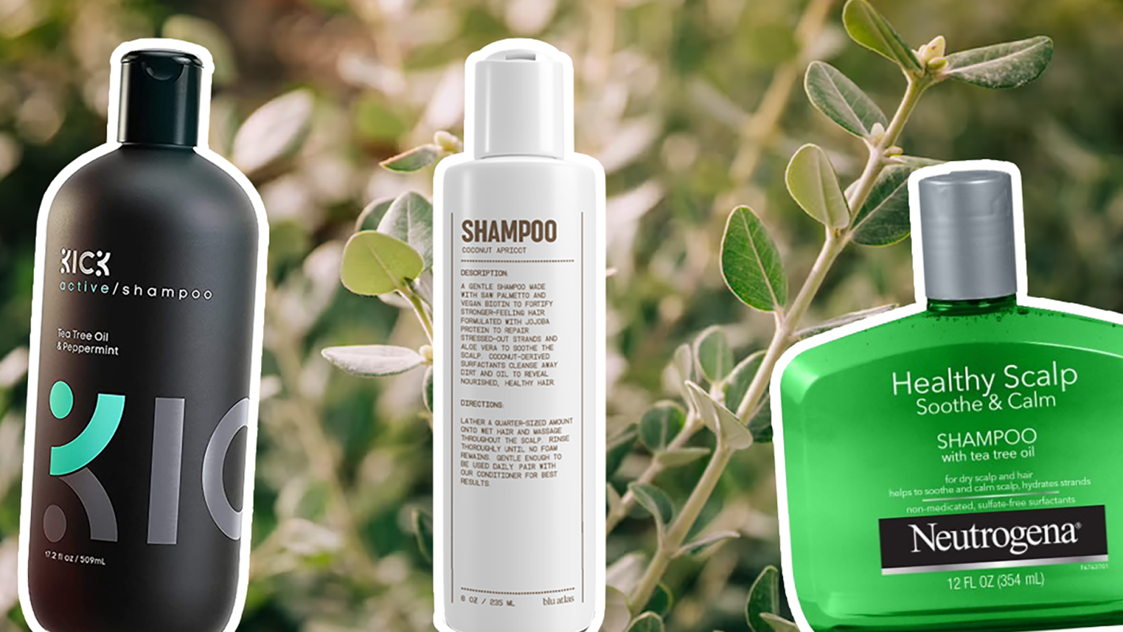 The 19 Best Men's Shampoos for Dry Scalp in 2023