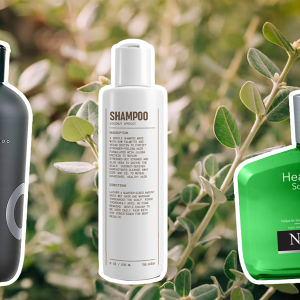 The 19 Best Men's Shampoos for Dry Scalp in 2023