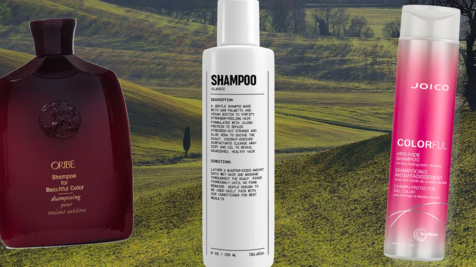 The Best Shampoos and Conditioners for Colored Hair