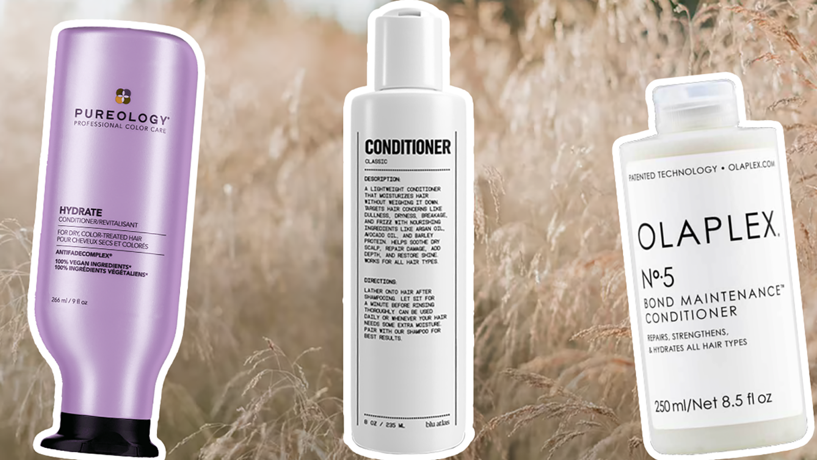 The 17 Best Conditioners of 2023