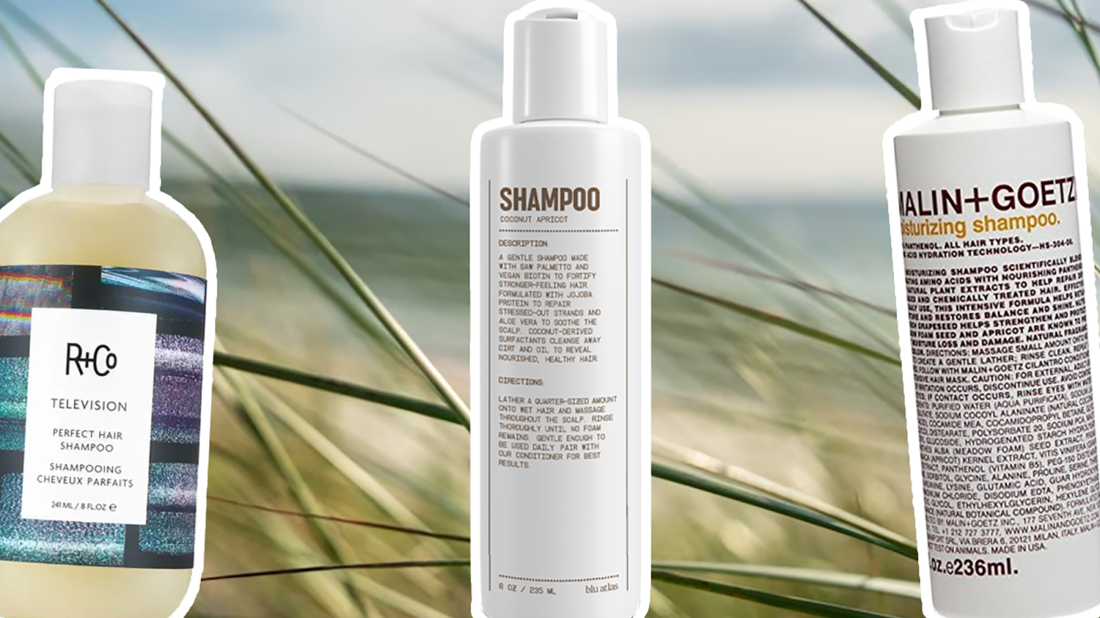 The Best Shampoos in the World