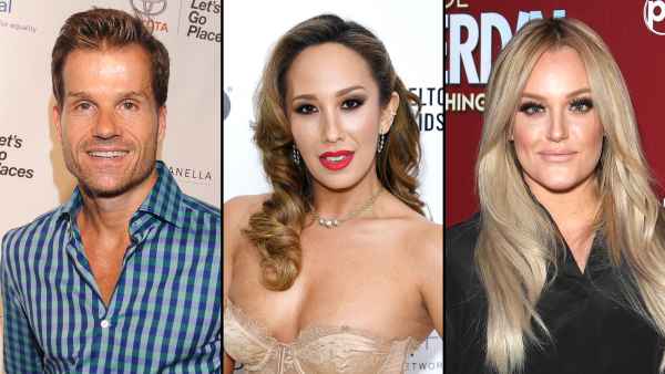 Louis van Amstel Asks Why Cheryl Burke Didn't Defend Him in Lacey Schwimmer Body Shaming Controversy