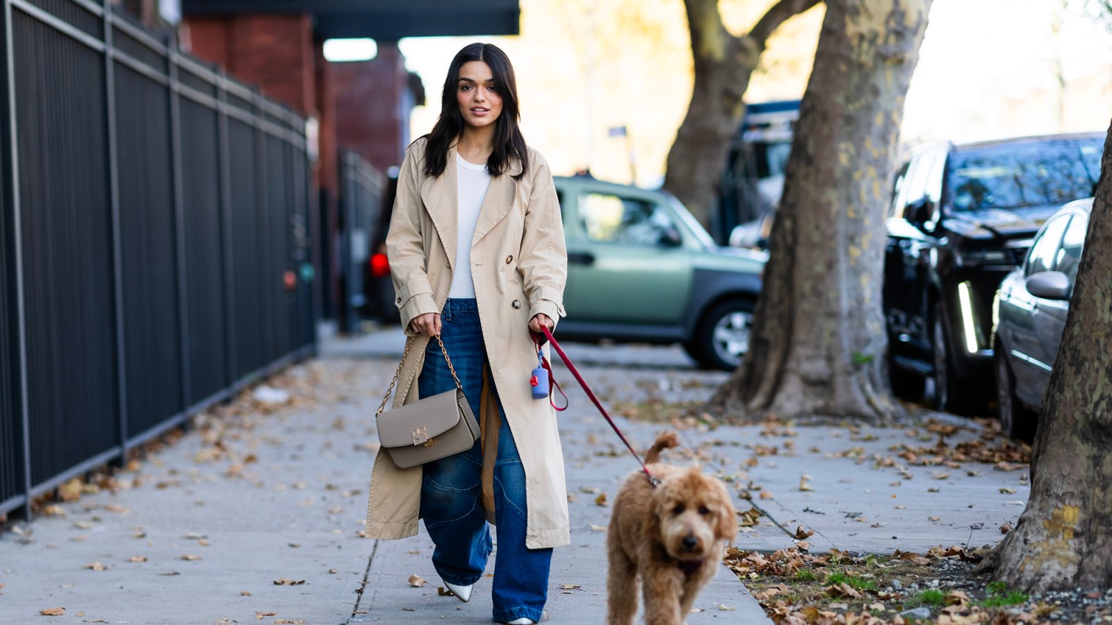 Rachel Zegler walking her dog in Long Island City on November 02, 2023.