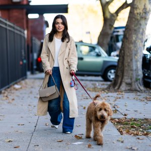 Rachel Zegler walking her dog in Long Island City on November 02, 2023.