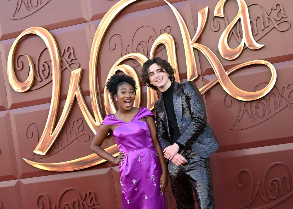 5 Things About Timothee Chalamet s Wonka Costar