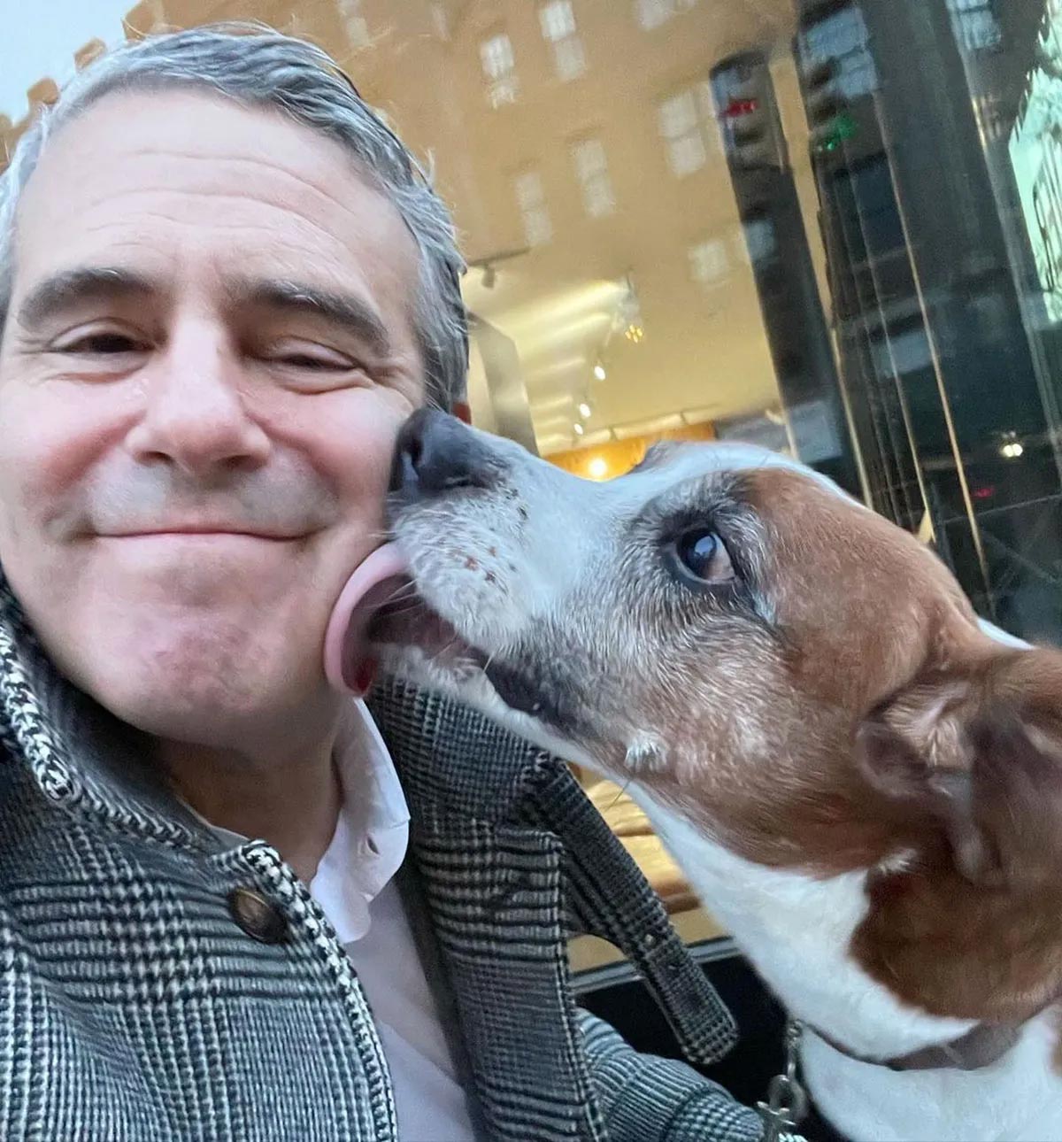 Famous Figures Who Found New Homes for Their Beloved Pets: Olivia Wilde, Raquel Leviss, and Beyond