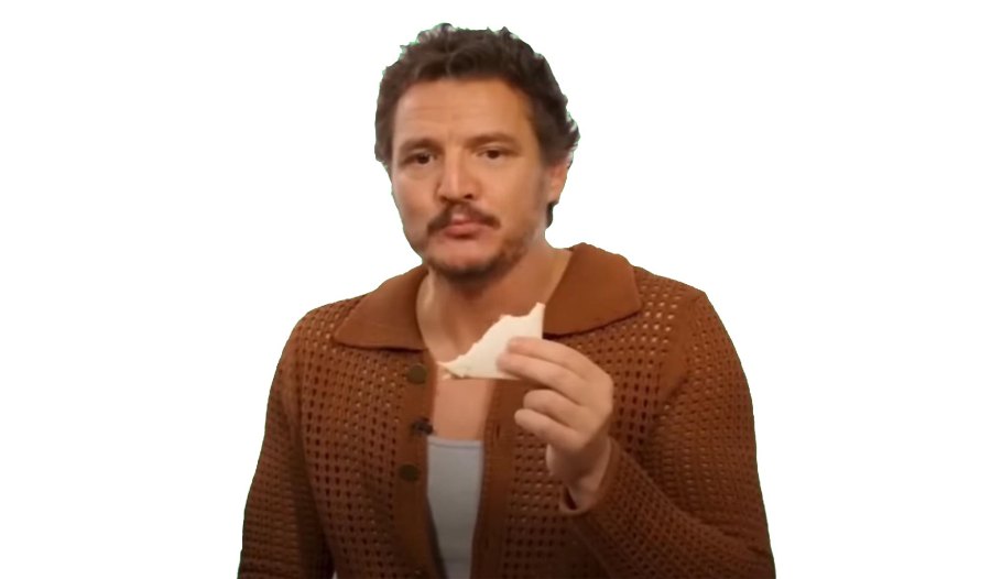 Celebrities Who Got the Meme Treatment in 2023 From Pedro Pascal to Barbie 184