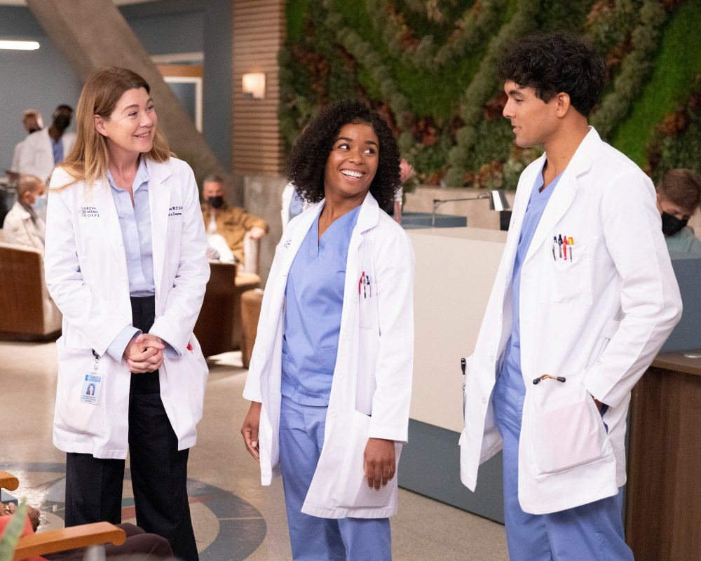 Ellen Pompeo Scrubs Back Into Grey's Anatomy in Season 20