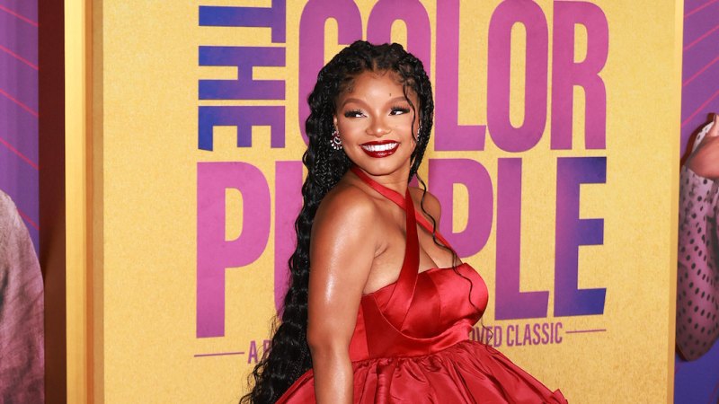 halle bailey purple dress Halle Bailey (Purple Dress) Cardboard Cutout