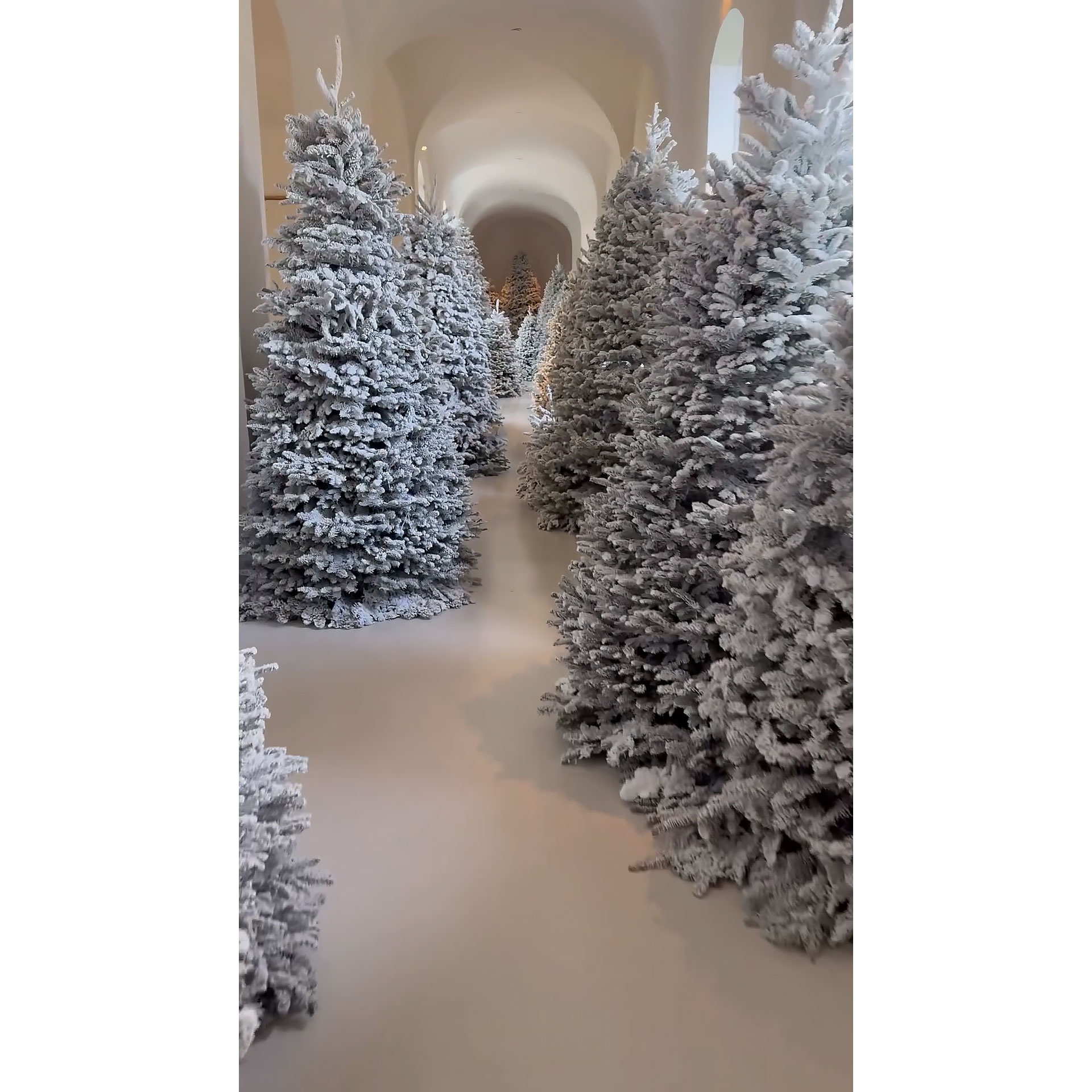 2023 Kardashian-Jenners Holiday Extravaganza: Christmas Trees, Lights, and Beyond