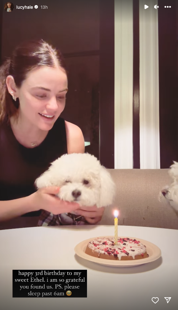 Lucy Hale Adorably Helps Pup Ethel Blow Out Birthday Cake Candles