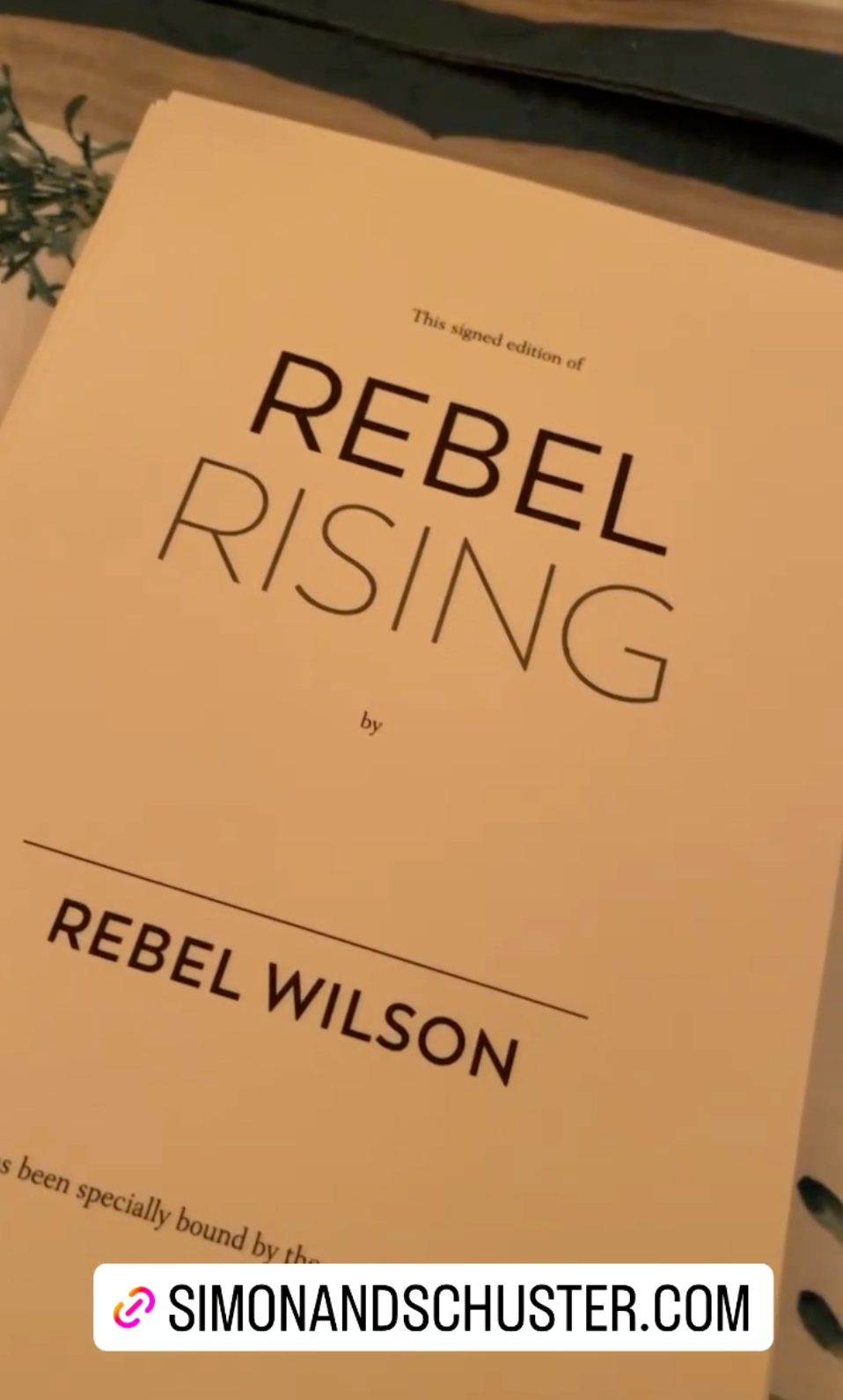 Rebel Wilson Reveals Writing Her Upcoming Memoir Has ‘Sometimes Been Gut-Wrenching’