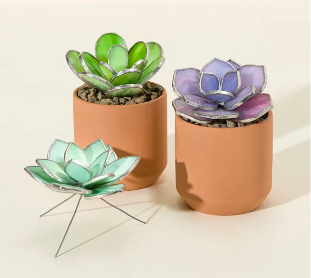 Everlasting Stained Glass Succulents