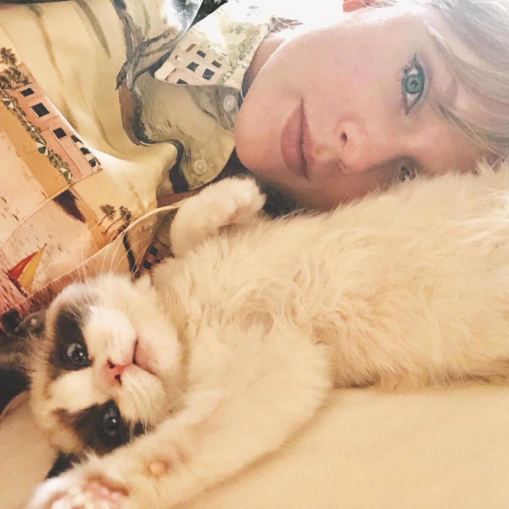 Taylor Swift s Cat Benjamin Button Steals the Show on Time 2023 Cover A Guide to Her Pets 921