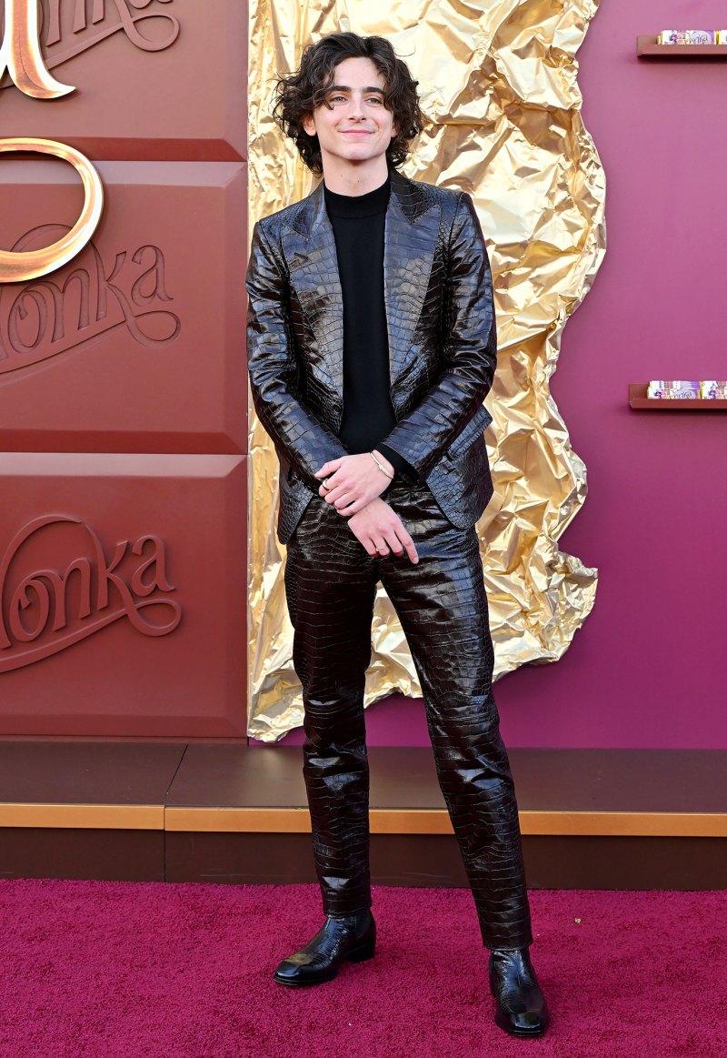 Timothee Chalamet’s Best Looks During ‘Wonka’ Press Tour | Us Weekly