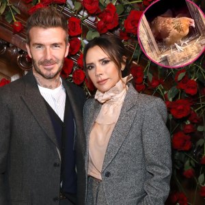 Victoria Beckham Gifts Husband David Beckham Chickens for Christmas: ‘They’re a Bit Camera Shy’