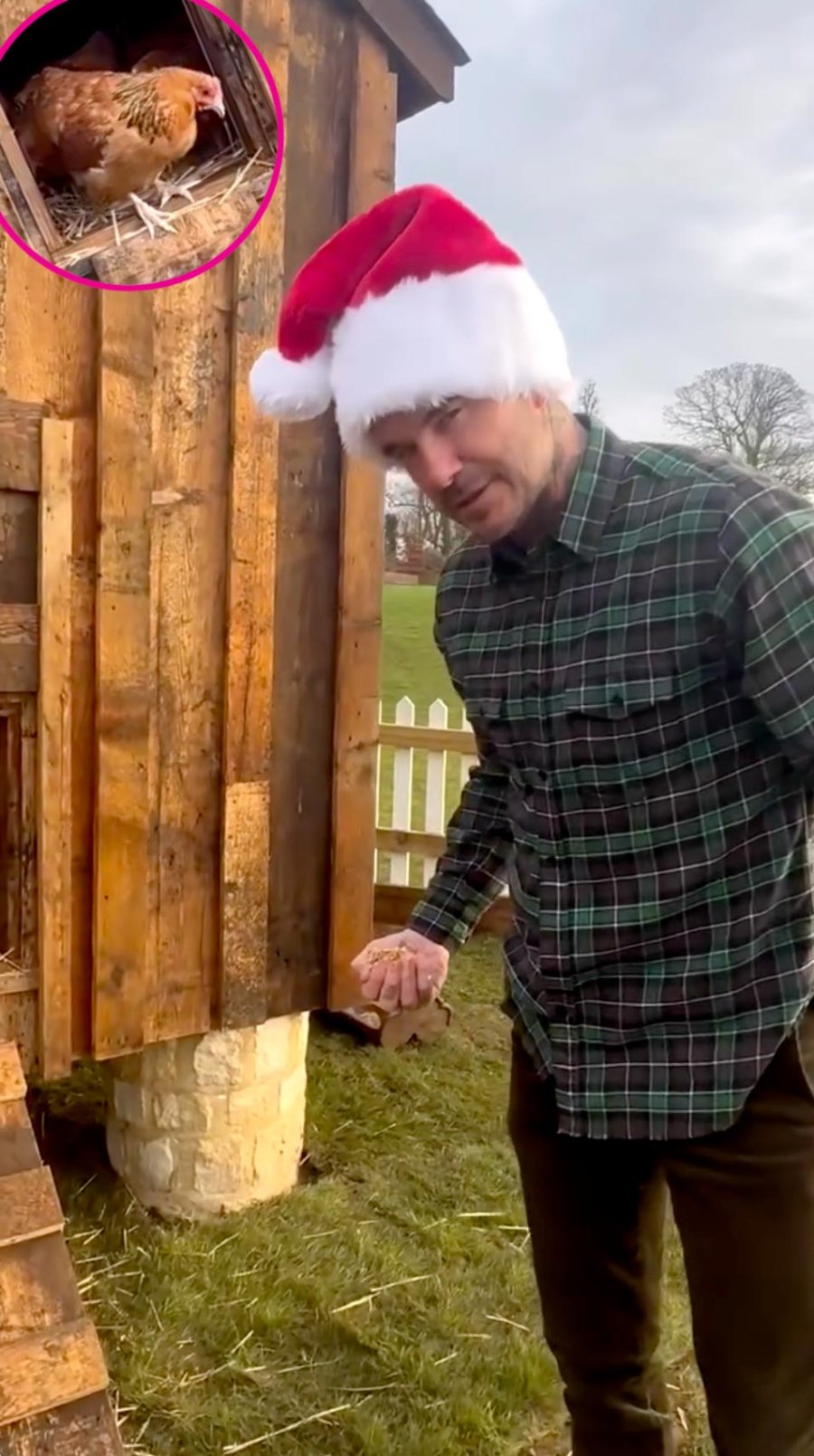 Victoria Beckham Gifts Husband David Beckham Chickens for Christmas: ‘They’re a Bit Camera Shy’